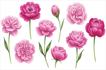 Beautiful spring floral seamless pattern featuring pink tulips and green leaves isolated on a white background for a nature inspired vector gift