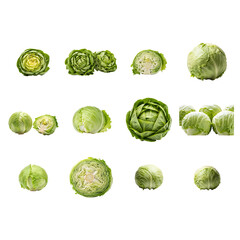 Fototapeta premium Fresh green cabbage set in various cuts
