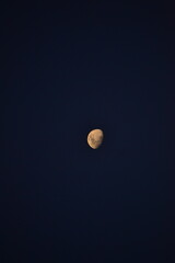 luna © Idania