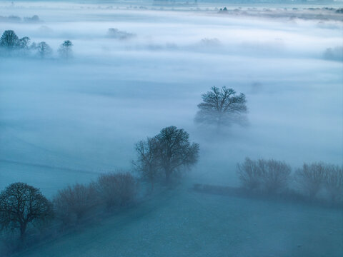 Aerial view of an ethereal, mist-shrouded landscape where trees emerge like phantom islands from a sea of fog, Wittenham Clumps, Oxfordshire, England.
