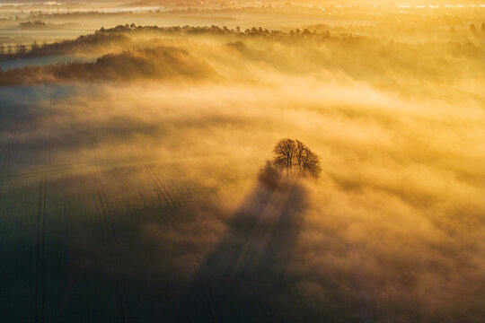Aerial view of Wittenham Clumps shrouded in golden mist, with trees casting long shadows across the tranquil landscape, Wittenham Clumps, Oxfordshire, England.