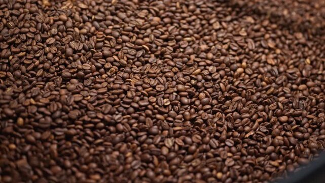 Slow motion close-up of roasted coffee beans inside an industrial cooling tray. Metal agitator gently moves the beans, revealing texture, color, and quality during the final stage of coffee production