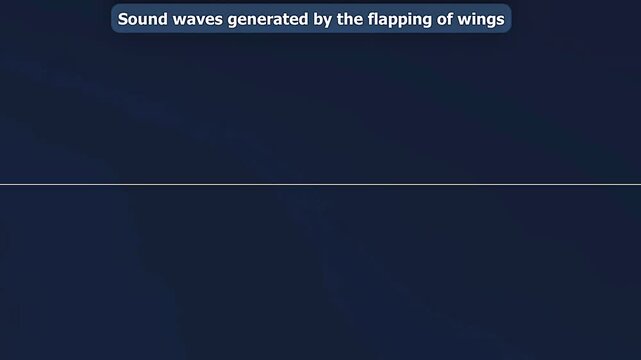 Silent flight in pigeons, falcons, and owls aided by specialized wing and feather adaptations.