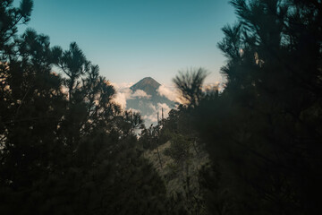 Obraz premium Volcán de Agua Seen Through Pine Trees