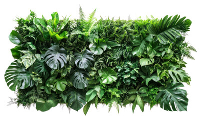 Naklejka premium PNG Lush vertical garden foliage