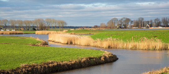 World Wetlands Day