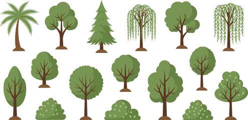 Tree Collection Nature Illustration Showing Palm Pine Willow And Deciduous Trees Green Forest Botanical Vector Set © Sirajul