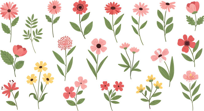 A beautiful collection of hand-drawn pink and red spring flowers on a white background, perfect for decoration.