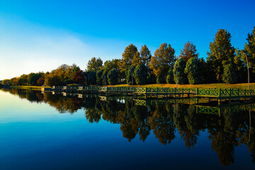 Fototapeta premium autumn in the park