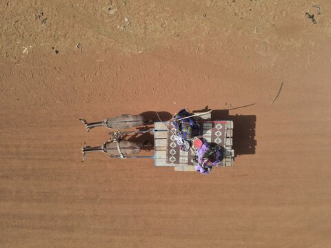 Aerial view of a horse-drawn cart carrying people moves through the arid, sun-baked earth, casting long shadows in the bright light, Dodji, Senegal.
