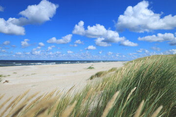 Sandy beach and coastal dunes covered with grass in Lubiatowo, Choczewo municipality, on the Baltic Sea coast in Poland. A sunny day with blue sky and picturesque clouds, showcasing a peaceful, natura