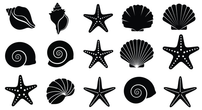 Black silhouettes of seashells and starfish on a white background