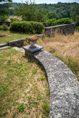 Muret et pot de fleur en campagne