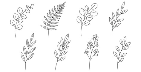 Collection of eight delicate botanical line art illustrations featuring diverse foliage designs perfect for elegant natural decor and branding projects © Mst Zakia
