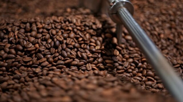 Side view macro shot of roasted coffee beans moving inside an industrial roaster. Shallow depth of field and smooth motion create a cinematic coffee scene for storytelling and branding.