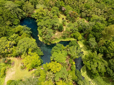 Aerial view of the Blue Hole, a vibrant sapphire jewel nestled amidst a verdant tapestry of tropical trees, Espirito Santo, Sanma Province, Vanuatu.