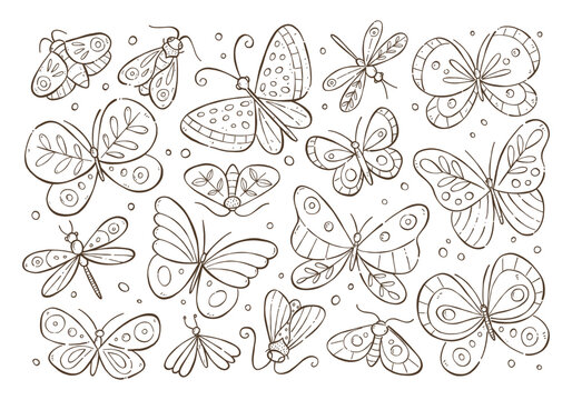 Insects hand drawn outline doodle background. Butterflies and moths drawing clipart. Vector illustration.