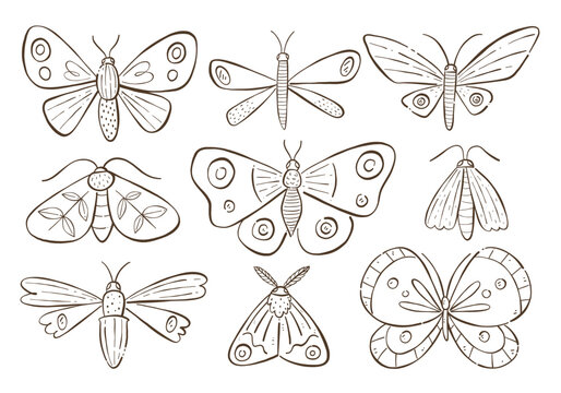 Cute butterflies and moths. Hand-drawn doodle clip art set isolated on white backgroun. Nine designs. Vector illustration.