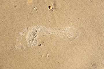 Human footprints in wet sand on a sunny beach