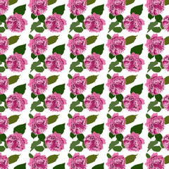 Pattern con corolle di rose e foglie