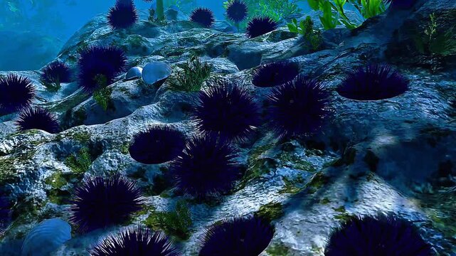 3D view of purple sea urchin showing spiny test, tube feet, and echinoderm body structure.