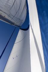 Fototapeta premium Une voile de bateau gonflée vue du dessous.