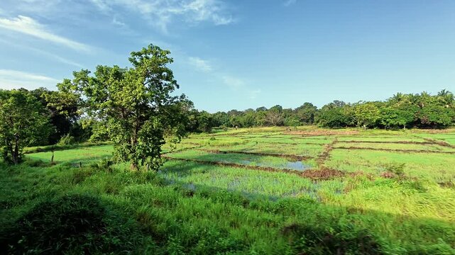 Train window view Sri Lanka