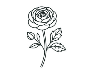 Beautiful black line art of a single rose with leaves