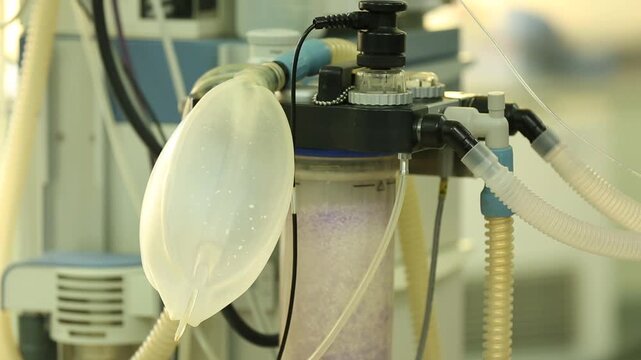 Close-up view of a medical anesthesia machine ventilator in a hospital operating room. The breathing bag inflates and deflates rhythmically, providing life support and oxygen during surgical procedure