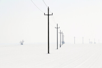 Electricity Poles in White Winter Landscape with Snow