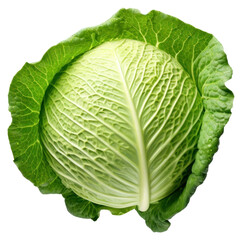 Fototapeta premium PNG Cabbage vegetable plant food.