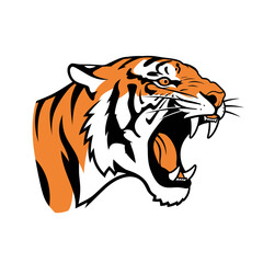 Fototapeta premium Tiger head roaring with orange and black stripes on a white background.