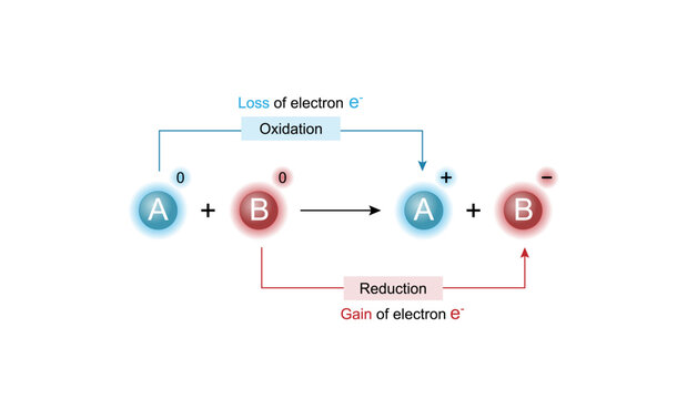 Redox reaction for electron transfer in oxidation and reduction. Oxidation, Loss of electrons. Reduction, Gain of electrons. Chemical diagram. Vector illustration.