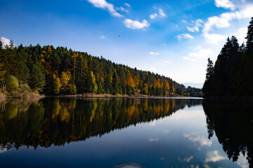 Fototapeta premium reflection of trees in the lake