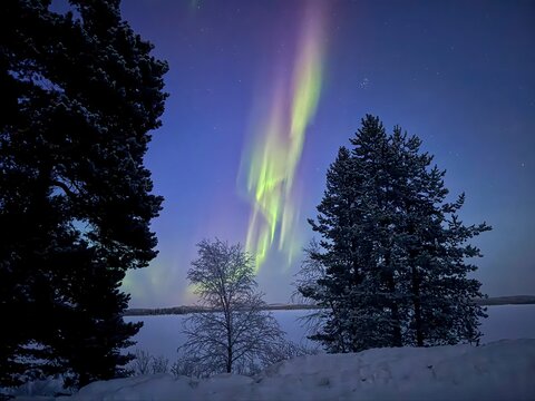 Stunning Aurora Borealis in Lapland during polar night north to the arctic circle, close to the cities of Ivalo and Inari in Finland
