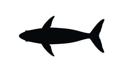 Obraz premium a black fish silhouette against a stark white background simple and clean