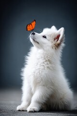 White puppy looking at a butterfly with a curious expression  