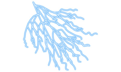 Fototapeta premium Abstract organic flowing lines illustration