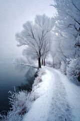 Serene winter landscape with frosted trees by frozen lake pathway  