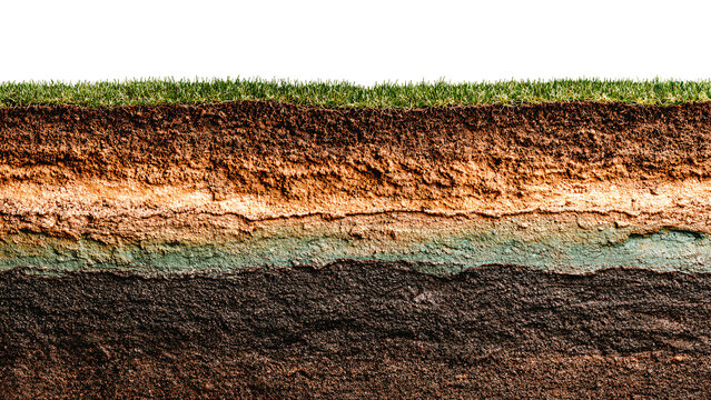 Sol en coupe avec strates