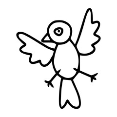 hand drawn bird