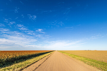 Farm road stretching into the distant horizon in Kansas. © Jeffrey