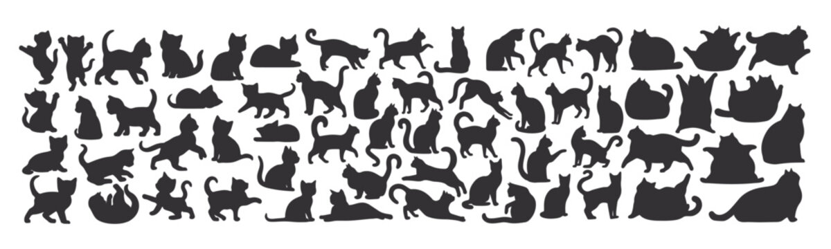 Set of black cat silhouettes. Silhouettes of cute little, adult and fat cats. Vector illustration