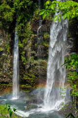 Obraz premium waterfall in the forest