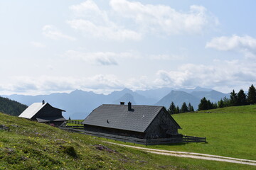 Idyllic alpine landscape with green meadows and traditional wooden hut on Schafberg mountain Austria