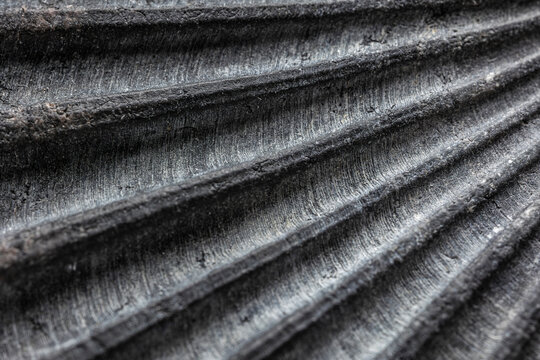 Macro of Great Scallop Pecten maximus fossil shell texture. Detailed ribbed structure of ancient mollusk shell as abstract natural background. Organic pattern with deep ridges and rough surface.