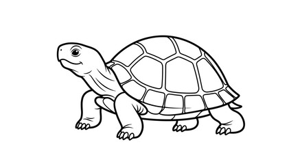 Detailed Outline Drawing of a Tortoise Walking Forward.