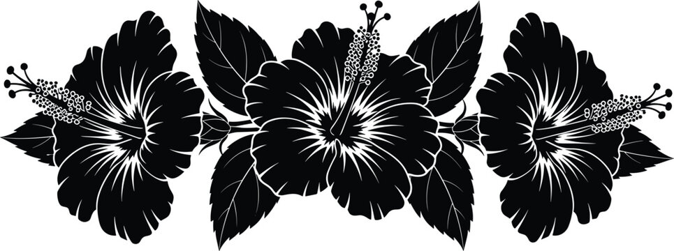 Black and white vector illustration of hibiscus flowers with leaves, tropical floral border for summer design, woodcut engraving style element.