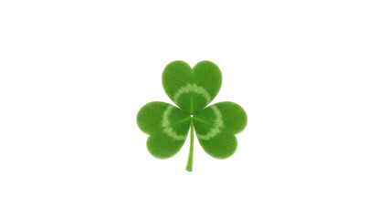 Lucky Three Leaf Clover