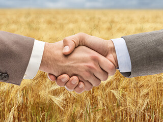 Handshake, close-up, in a wheat field. Businessmen signing a business contract. Agriculture business farm concept.